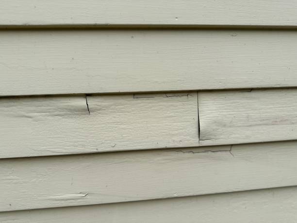 Professional Siding in Bowman, ND